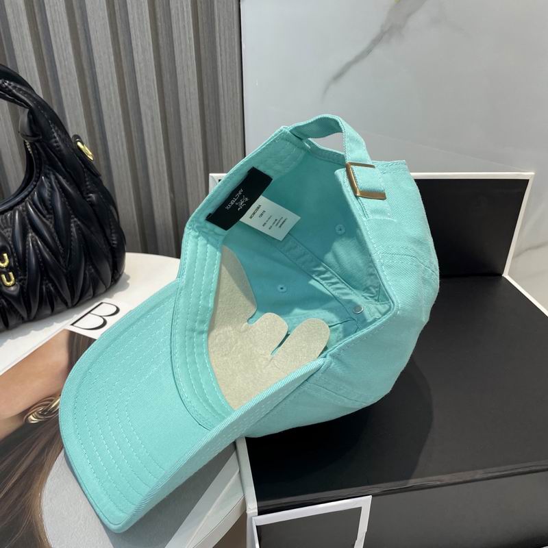 Arcteryx cap dx (61)