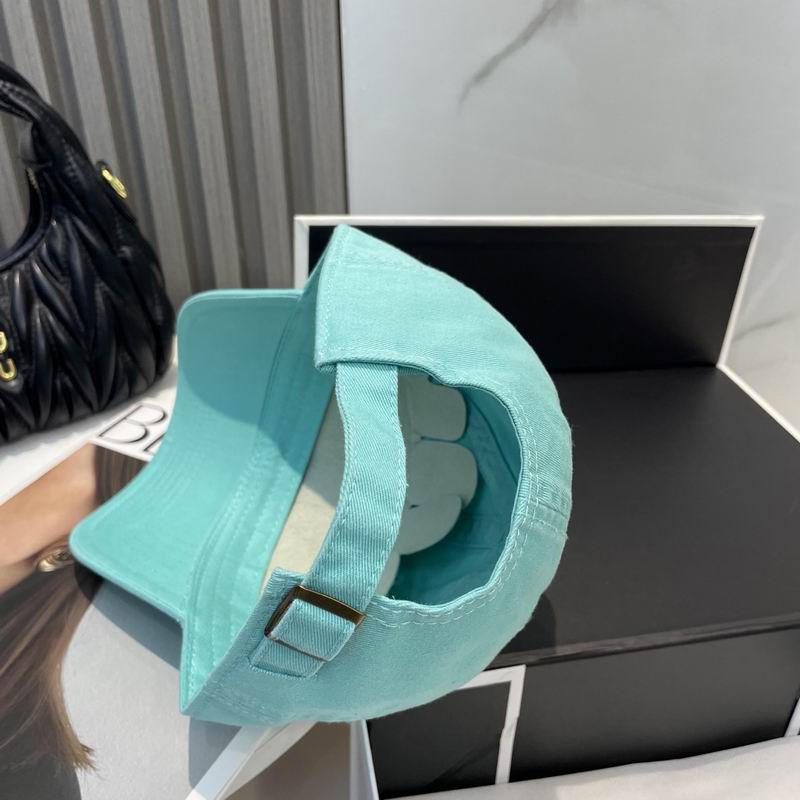 Arcteryx cap dx (62)