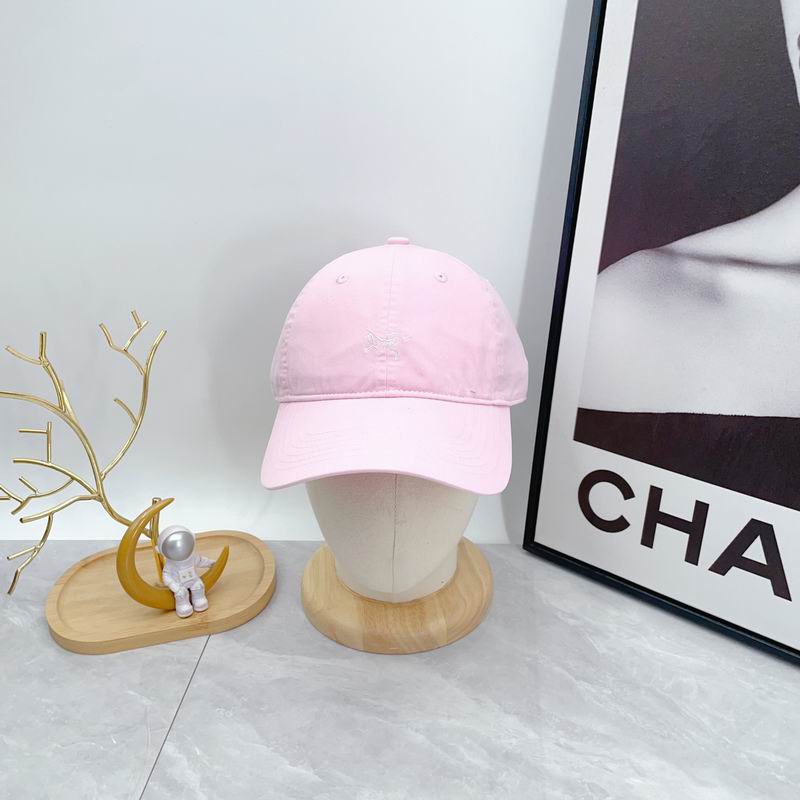 Arcteryx cap dx (64)