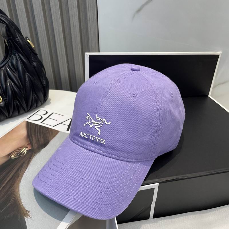 Arcteryx cap dx (67)