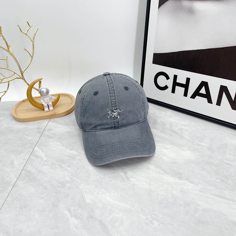 Arcteryx cap dx (69)