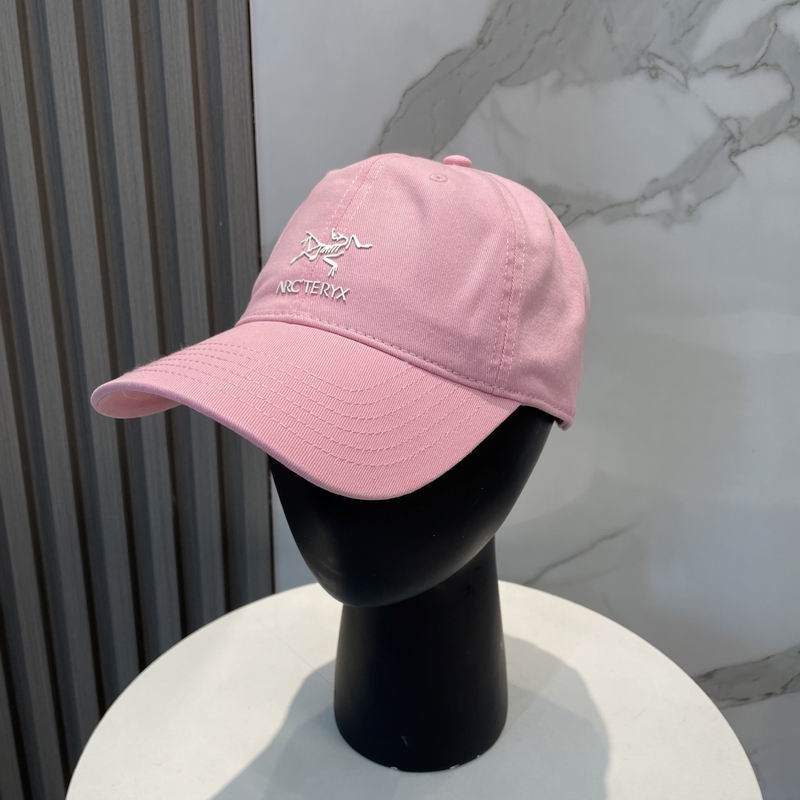 Arcteryx cap dx (73)