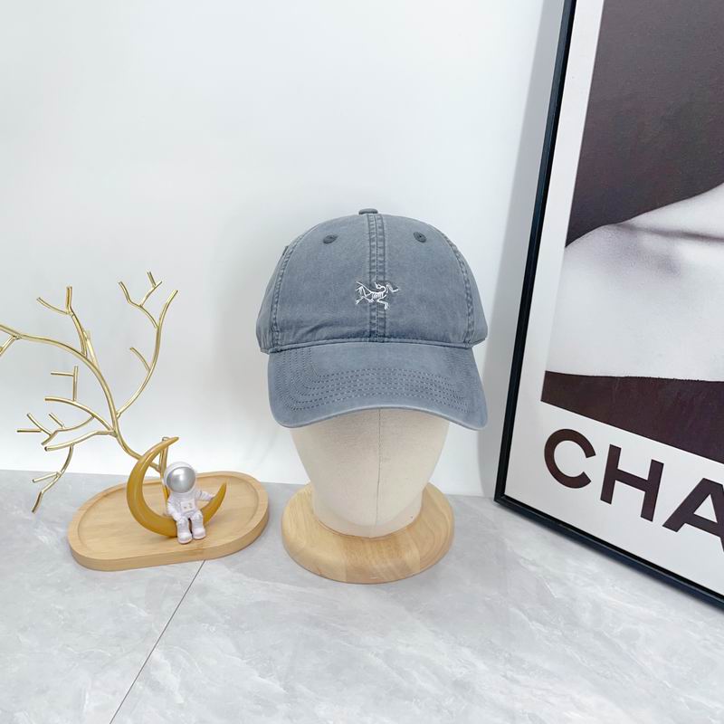 Arcteryx cap dx (73)