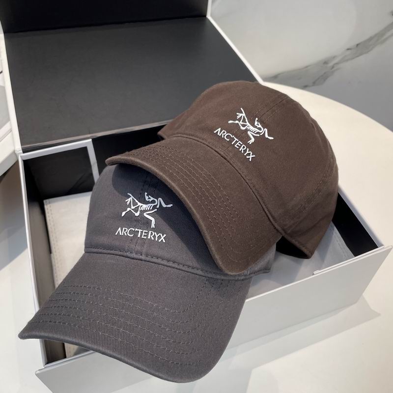 Arcteryx cap dx (74)