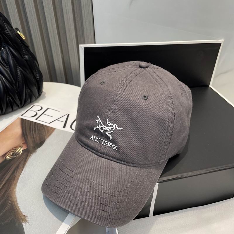 Arcteryx cap dx (77)