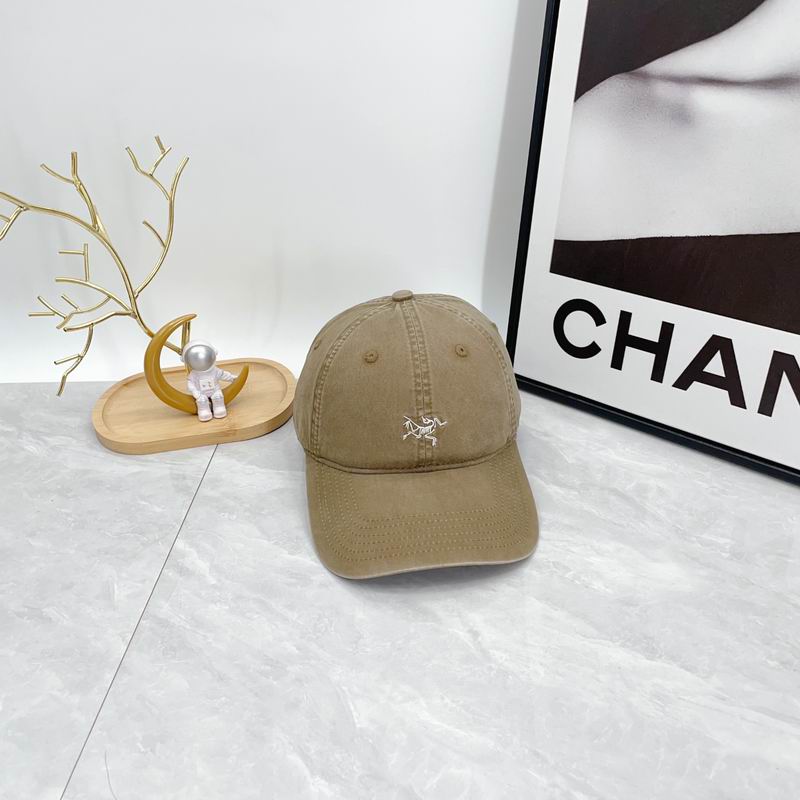 Arcteryx cap dx (78)