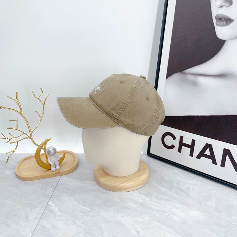 Arcteryx cap dx (80)