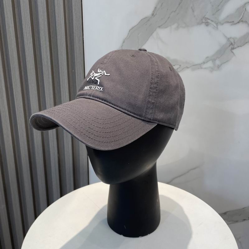 Arcteryx cap dx (81)