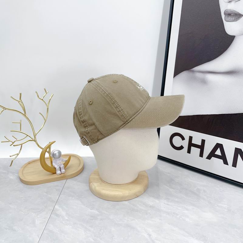 Arcteryx cap dx (81)