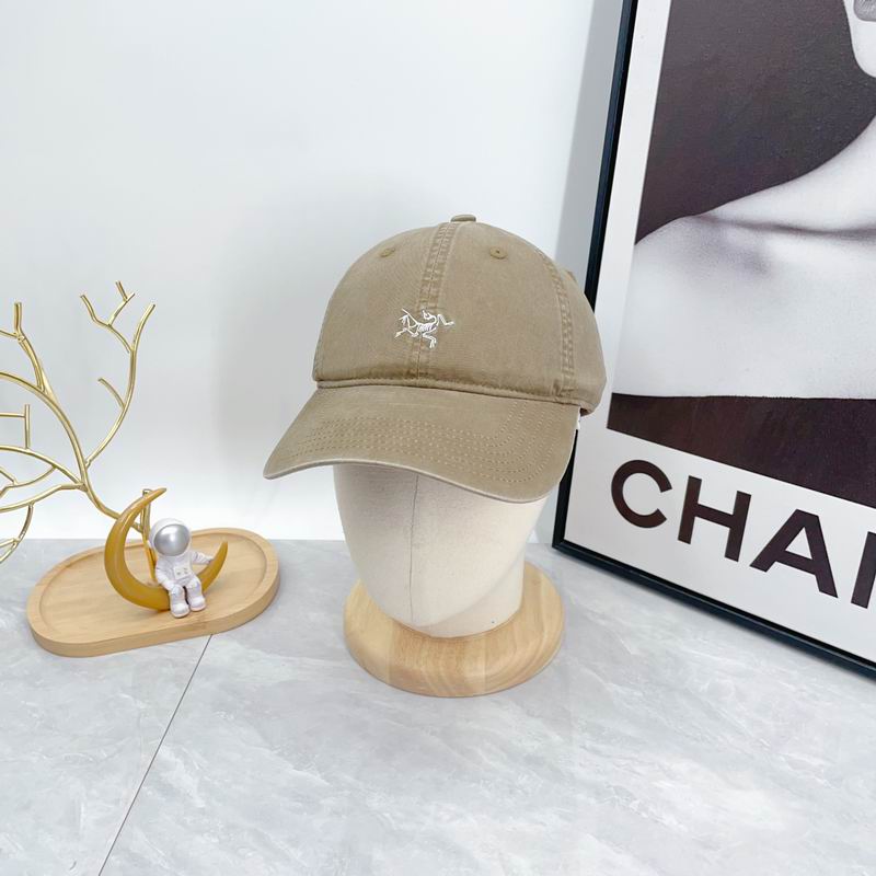 Arcteryx cap dx (82)