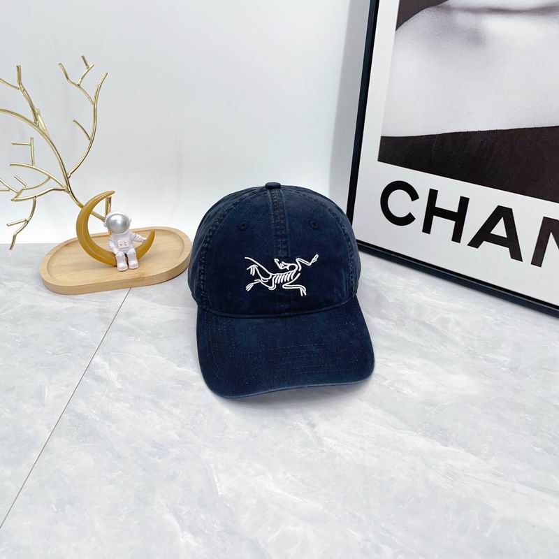 Arcteryx cap dx (87)