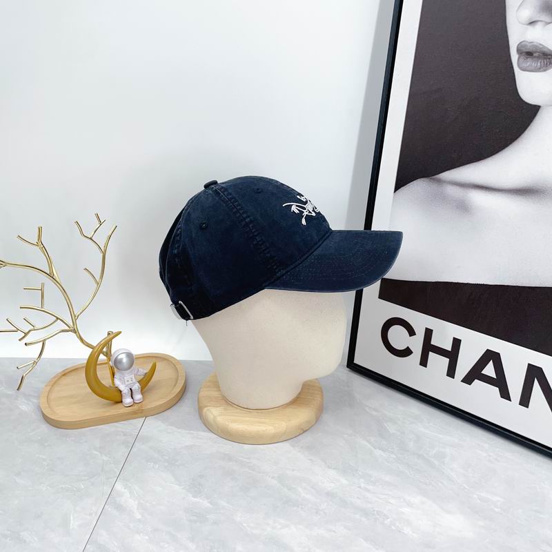 Arcteryx cap dx (89)