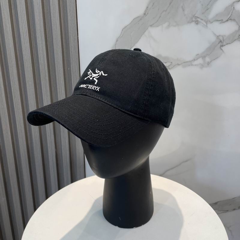 Arcteryx cap dx (90)