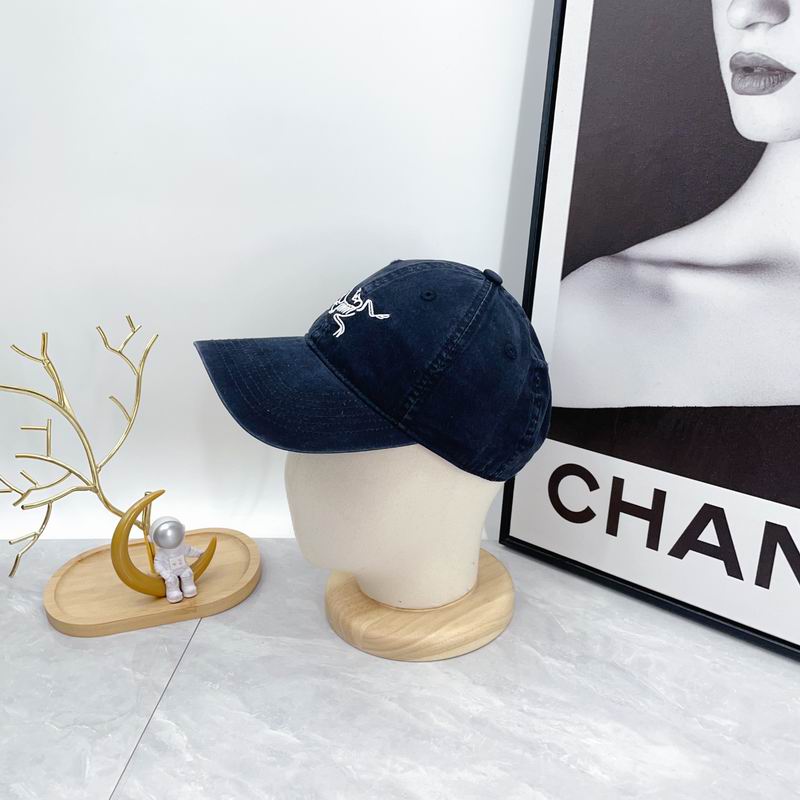 Arcteryx cap dx (90)