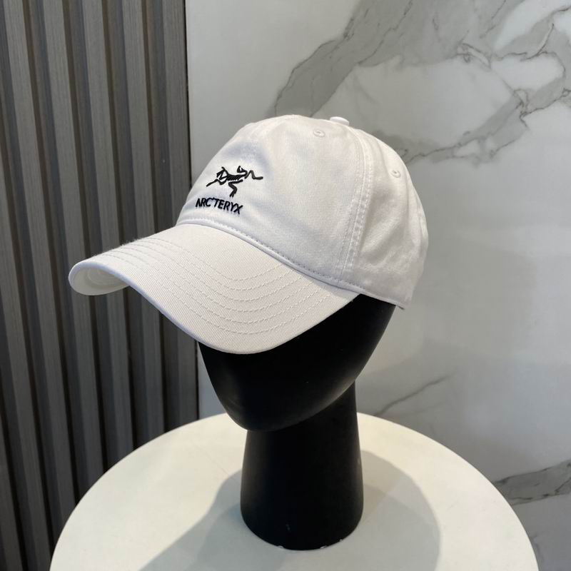 Arcteryx cap dx (91)