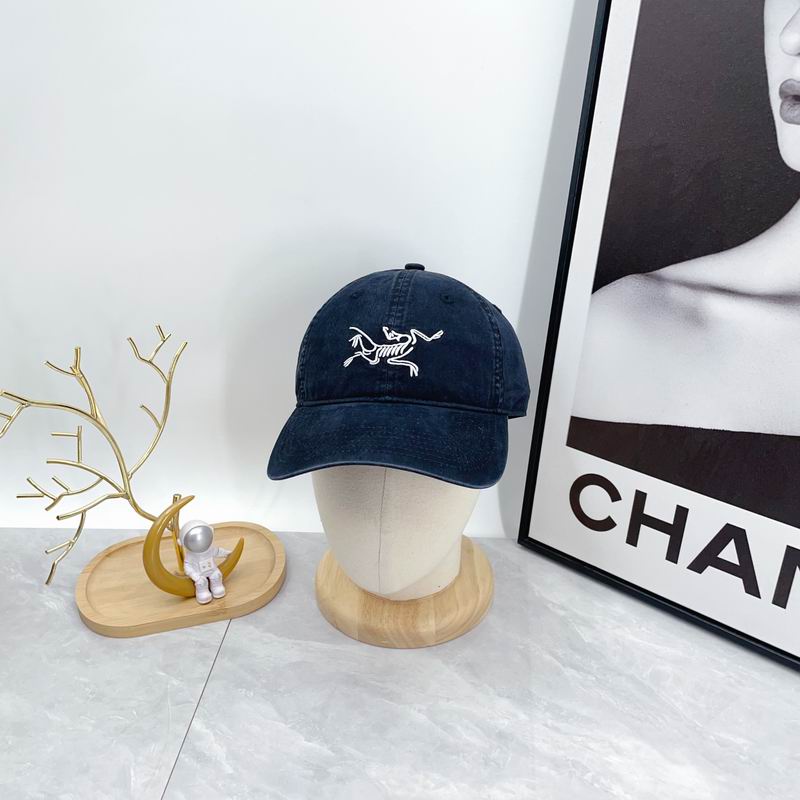 Arcteryx cap dx (91)