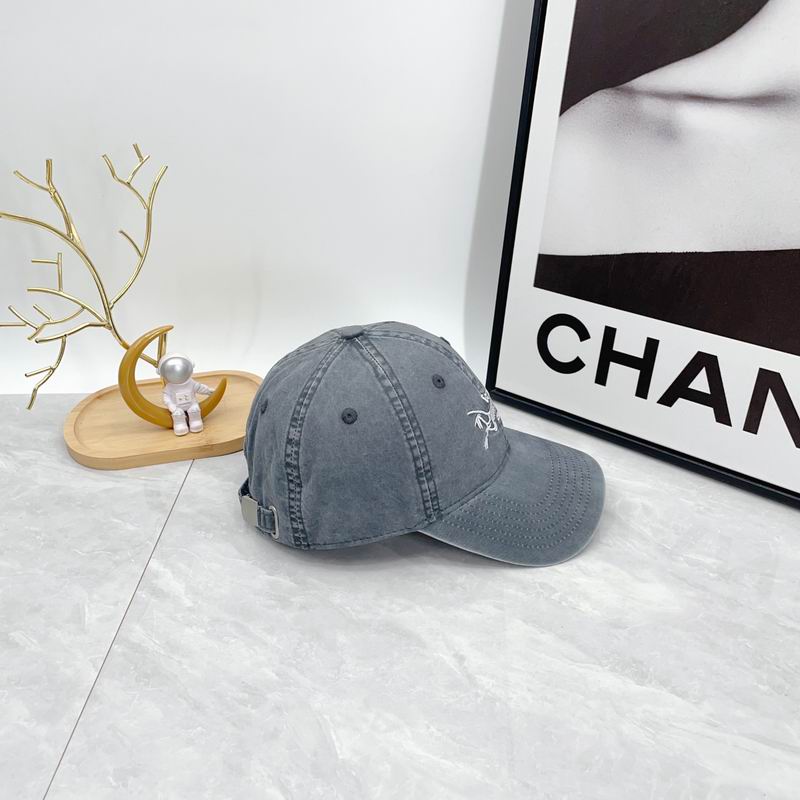 Arcteryx cap dx (95)