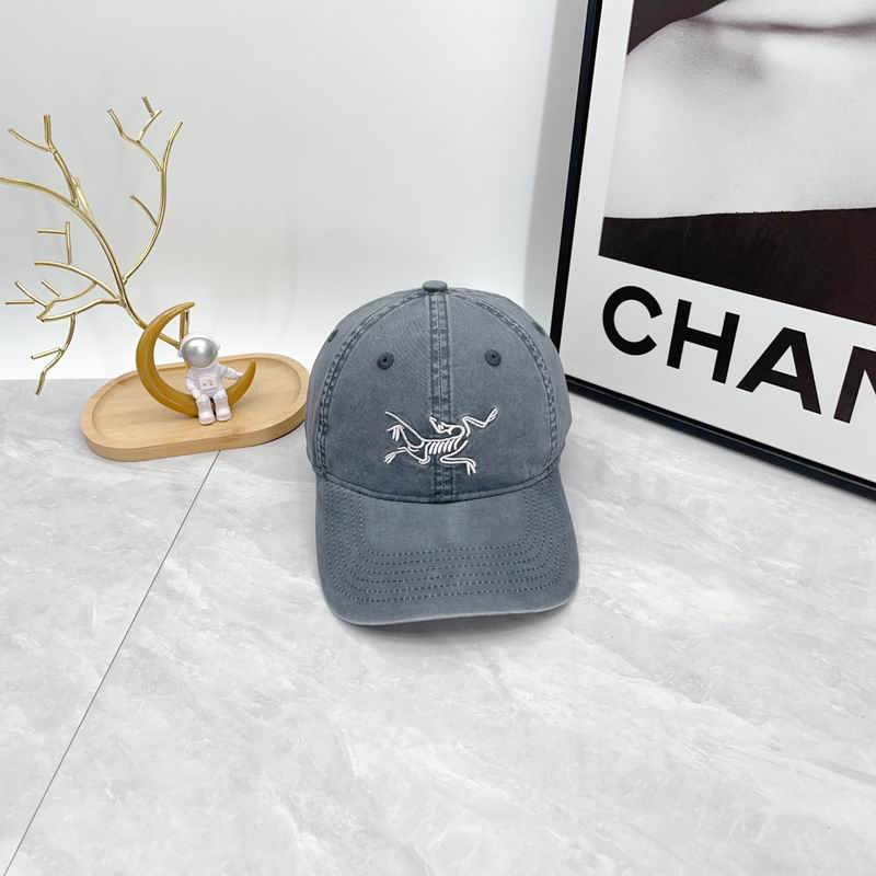 Arcteryx cap dx (96)