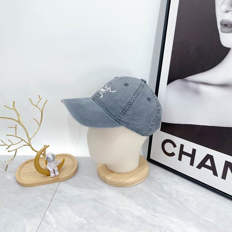 Arcteryx cap dx (98)