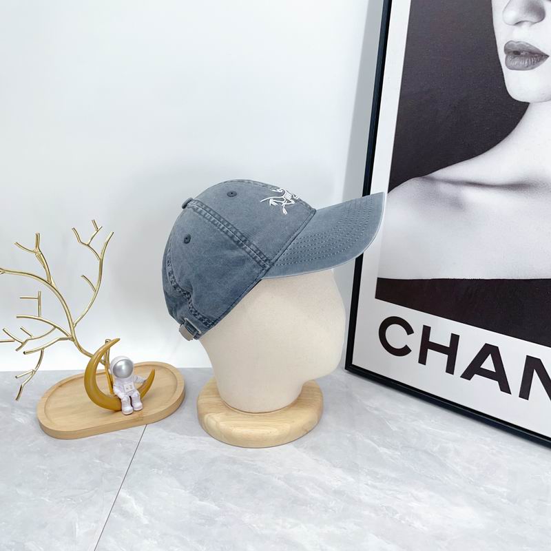 Arcteryx cap dx (99)