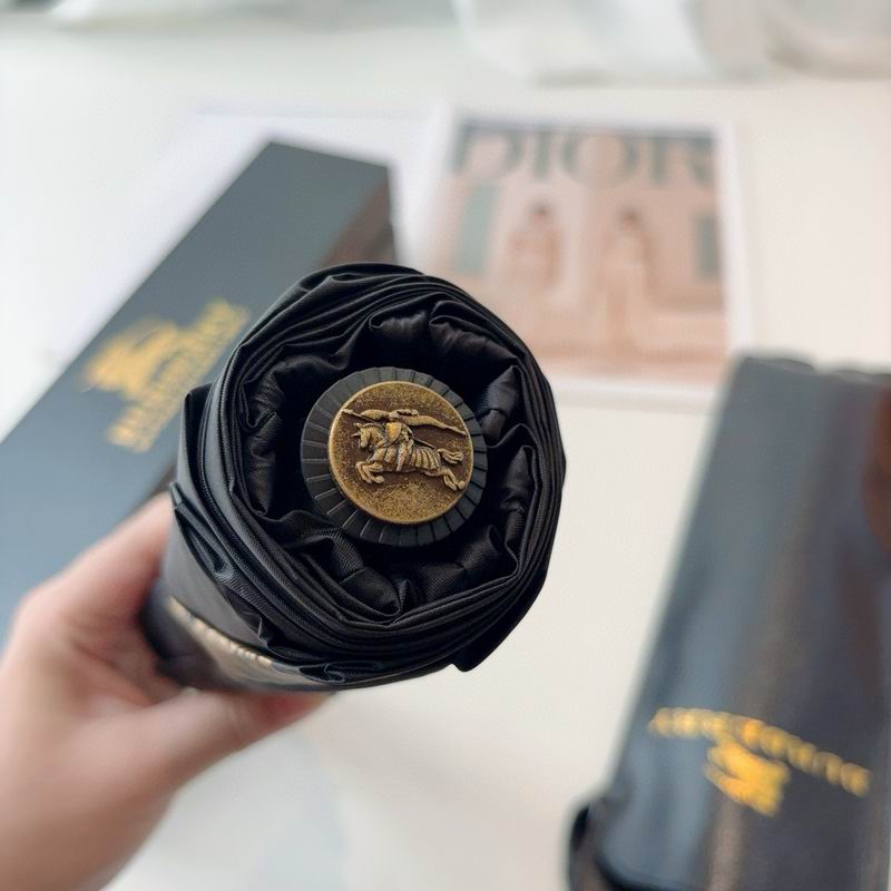 Burberry Umbrella (4)