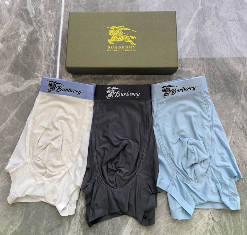 Burberry boxer L-4XL 19 (3)