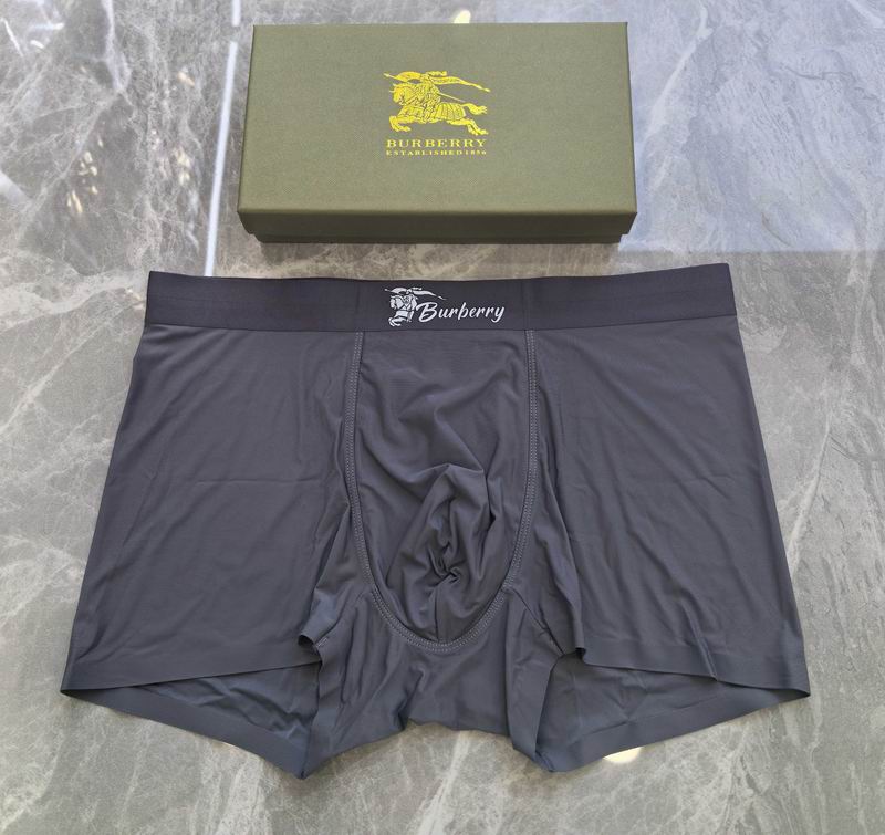 Burberry boxer L-4XL 19 (6)
