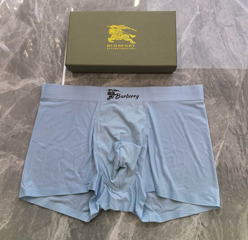 Burberry boxer L-4XL 19 (7)
