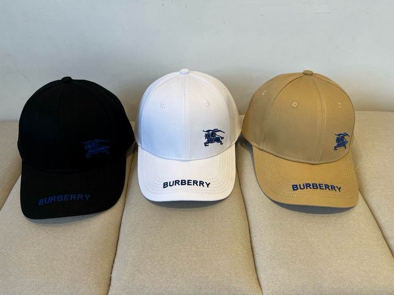 Burberry cap dx (1)