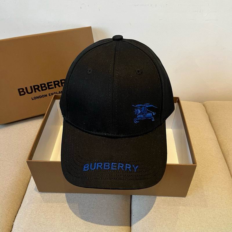 Burberry cap dx (18)