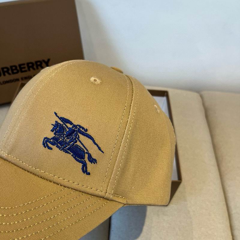 Burberry cap dx (24)