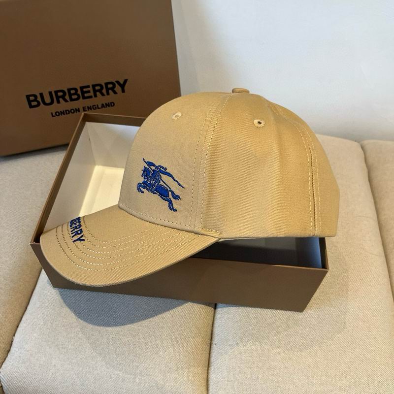 Burberry cap dx (25)
