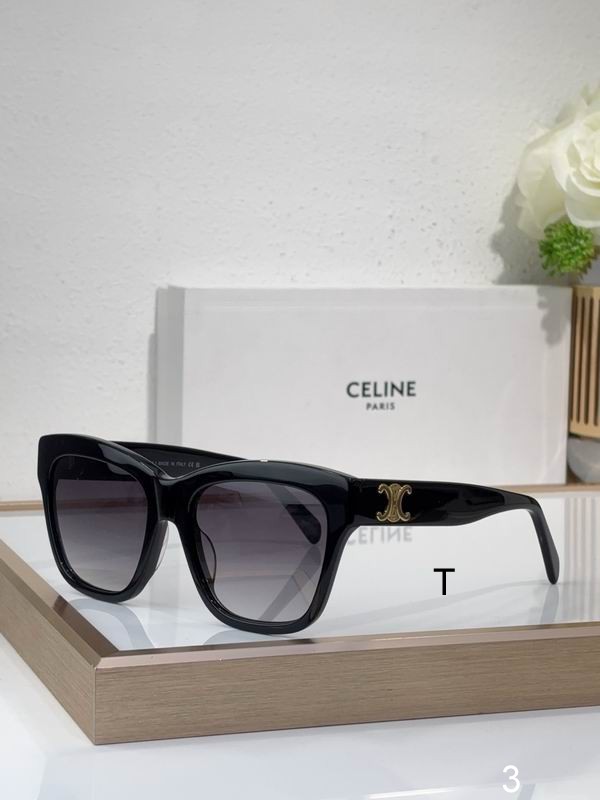 CELINE CL40253F 55 18-140 b01