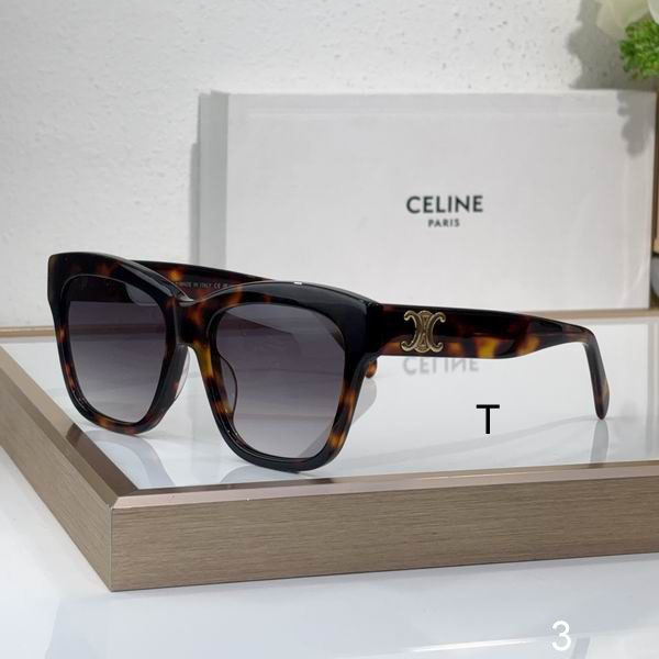 CELINE CL40253F 55 18-140 b02