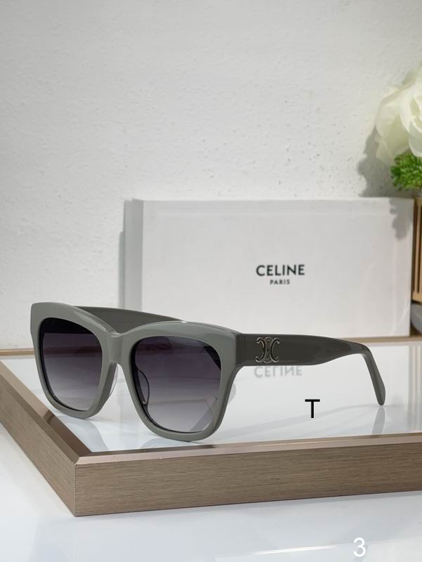 CELINE CL40253F 55 18-140 b04