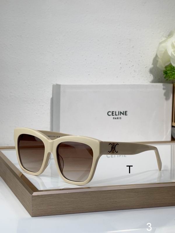 CELINE CL40253F 55 18-140 b05