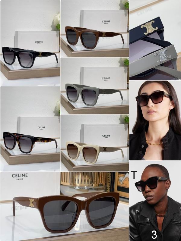 CELINE CL40253F 55 18-140 b06