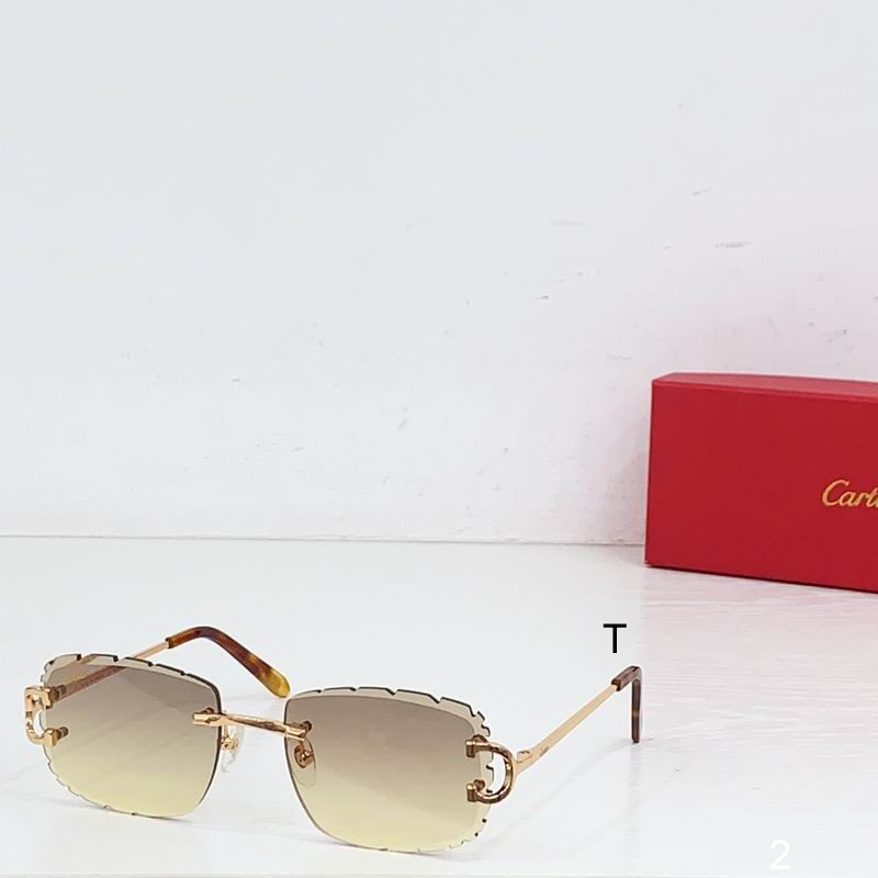 Cartier CT0092 55-18-145 b04