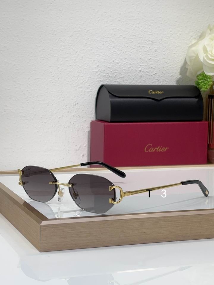 Cartier CT0029RS 58 16-145 c01