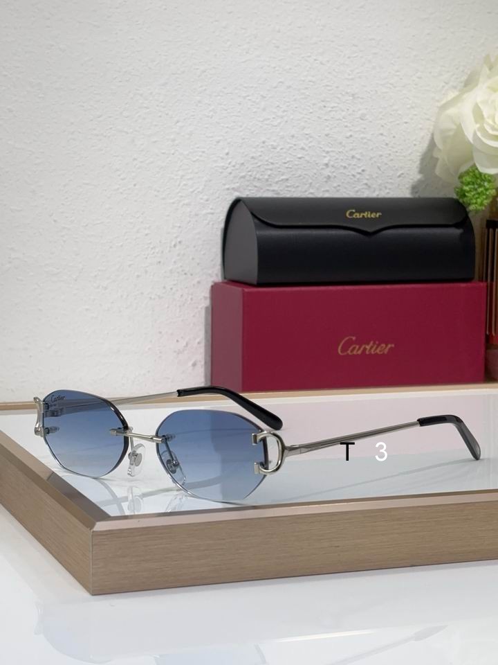 Cartier CT0029RS 58 16-145 c02