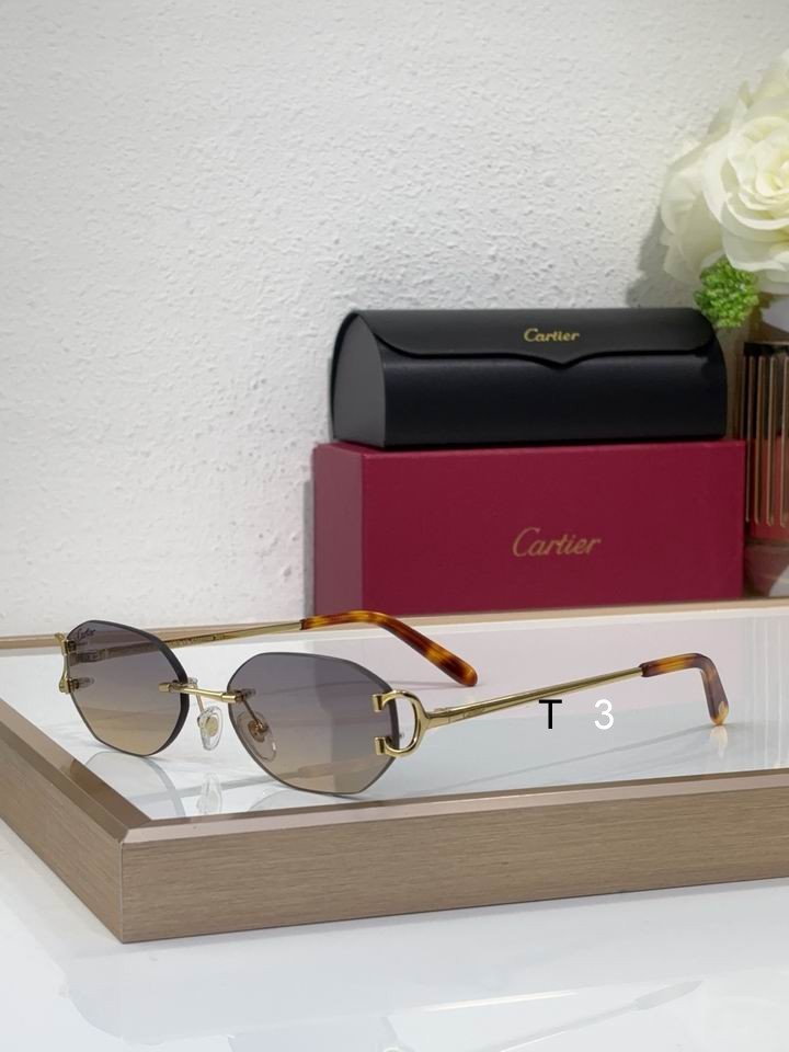 Cartier CT0029RS 58 16-145 c03