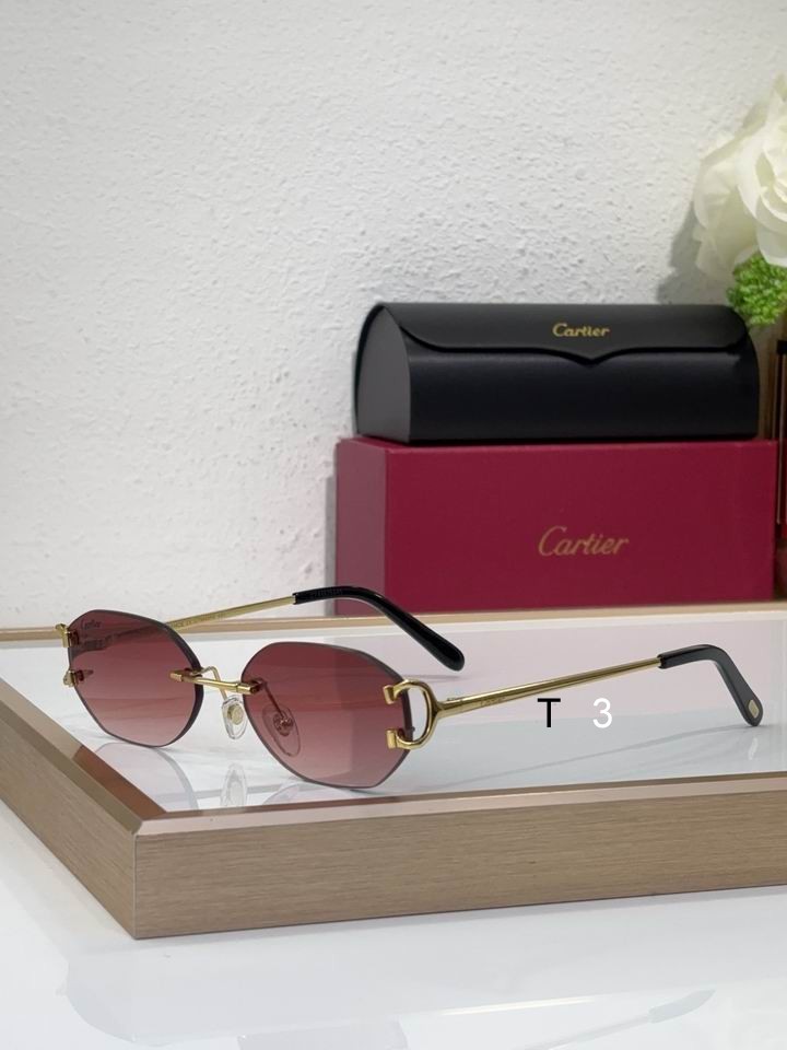 Cartier CT0029RS 58 16-145 c04