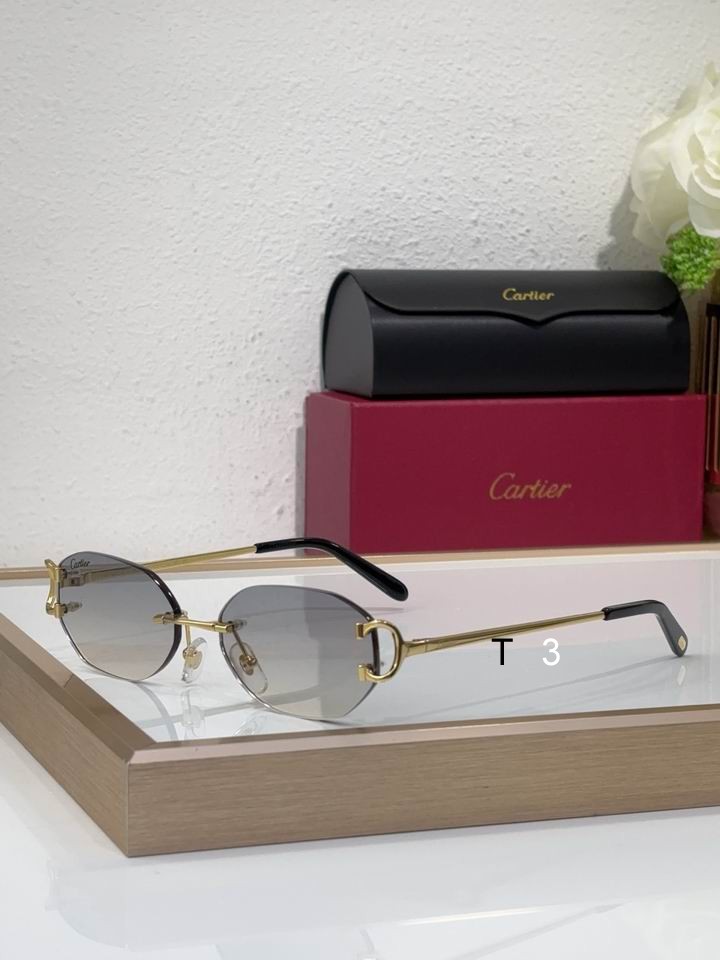 Cartier CT0029RS 58 16-145 c05