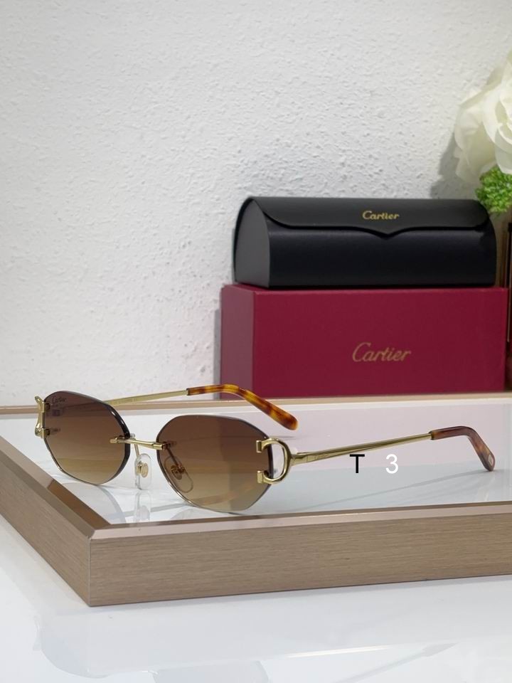 Cartier CT0029RS 58 16-145 c06