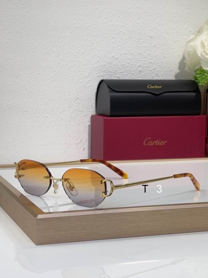 Cartier CT0029RS 58 16-145 c08