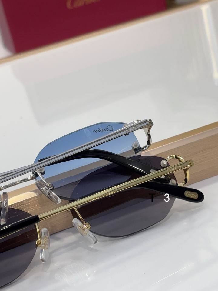 Cartier CT0029RS 58 16-145 c09