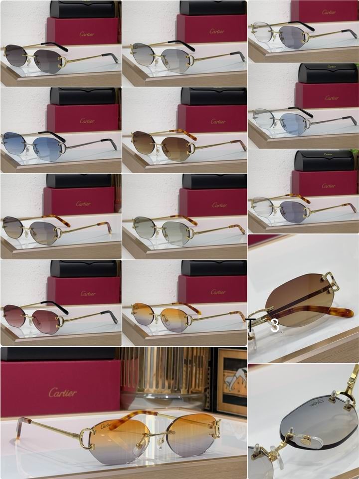 Cartier CT0029RS 58 16-145 c10