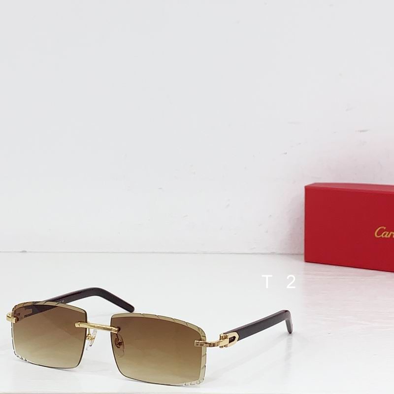 Cartier CT0243S 59 16-140 b01