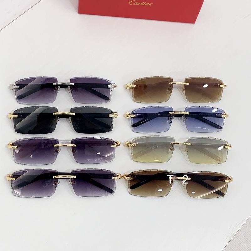 Cartier CT0243S 59 16-140 b09