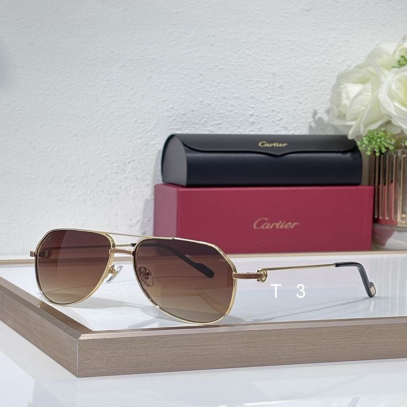 Cartier CT0323S C06